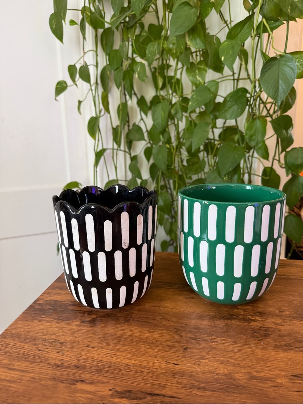 Decorative Ceramic Planters - Black and Green Set Target